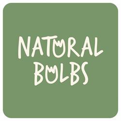 Natural Bulbs, Hillegom openingstijden