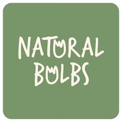 Natural Bulbs, Hillegom openingstijden