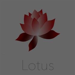 Chinees restaurant Lotus Leende, openingstijden