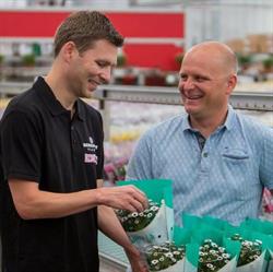 Berkhout Plants, Kwintsheul openingstijden