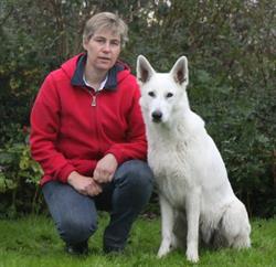 Honden Activiteiten Centrum de Wenge, Warmenhuizen openingstijden