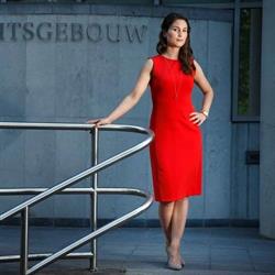 Lubbers Advocatuur, Deventer openingstijden
