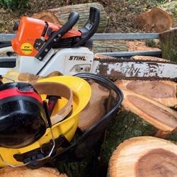 BBB Bomen, Weesp openingstijden