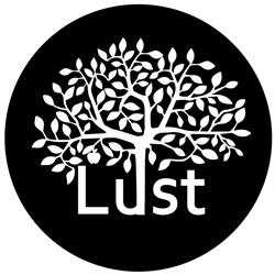 Lust Groningen, openingstijden