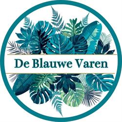 De Blauwe Varen, Heemskerk openingstijden