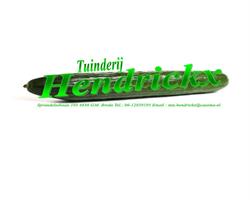 Tuinderij Hendrickx, Breda openingstijden