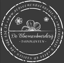 De Bloemenboerderij Vaassen, openingstijden