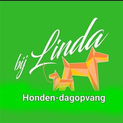 Bij-Linda het oppas adres voor uw hond, Den Horn openingstijden