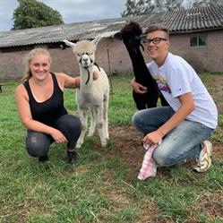 Alpacafarm Riethoven - Only by reservation !! - Alpacaboerderij Eindhoven, openingstijden