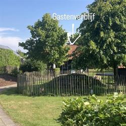 Hartje Ruinen, openingstijden
