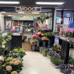Bloemenwinkel Moooi, Capelle aan den IJssel openingstijden