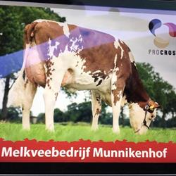 Melkveebedrijf Munnikenhof, Terheijden openingstijden