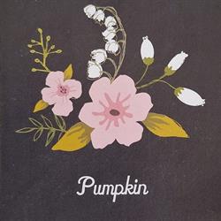 PumPkin by WeBe, Holwierde openingstijden