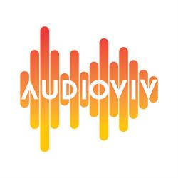 Audioviv, Katwijk openingstijden