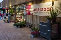 Anemoon, Dronten openingstijden