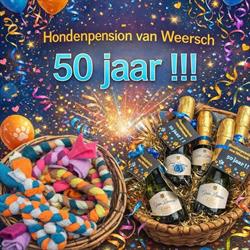 Hondenpension & Hondenkapsalon van Weersch, Meerssen openingstijden