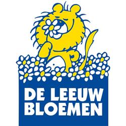 De Leeuw Bloemen, Voorburg openingstijden