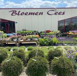 Bloemen Cees, Klazienaveen openingstijden