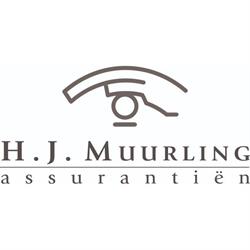 Assurantiën H J Muurling, Joure openingstijden