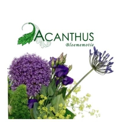 Acanthus Bloememotie Flevoland Emmeloord - openingstijden