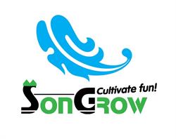 Songrow B.V., Maasdijk openingstijden