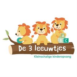 Kinderdagverblijf De 3 Leeuwtjes, 's-Gravenhage openingstijden