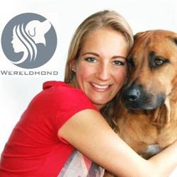 Wereldhond, Abbenes openingstijden