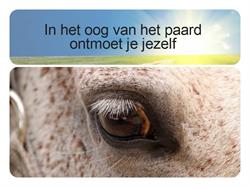 Your Way paarden coaching, Nieuwe Niedorp openingstijden