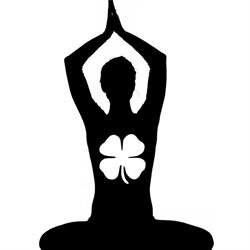 Klaver Yoga & Meditatie, Wildervank openingstijden