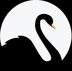 Black Swan Capital BV, Amsterdam openingstijden
