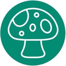 Super Smartshops, Amsterdam openingstijden