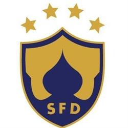 SF Deinum, openingstijden