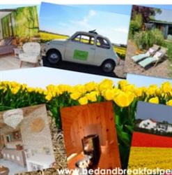 Bed and Breakfast Pergamo, Voorhout openingstijden