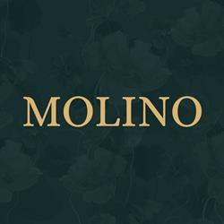 Molino Drachten, openingstijden