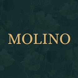 Molino Drachten, openingstijden