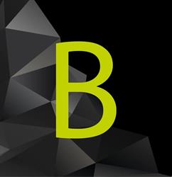 Bijldesign, De Lier openingstijden