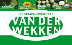 Bloemenkwekerij van der Wekken B.V., Noordgouwe openingstijden