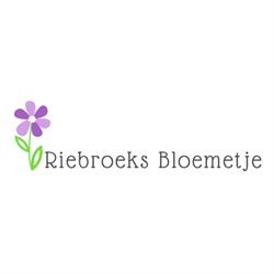Riebroeks Bloemetje, Ermelo openingstijden
