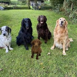 Furry Friends Dierenspeciaalzaak, Medemblik openingstijden