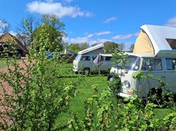 Camperplaats Orvelterblok, Witteveen openingstijden