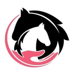 Paardentherapie bij Sandra, Wieringerwerf openingstijden