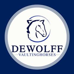 DeWolff Vaulting, Wapse openingstijden