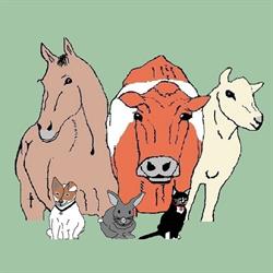 DierenArtsenPraktijk Midden-Drenthe, Westerbork openingstijden