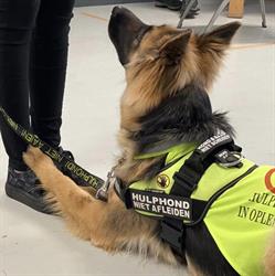 Animal 4 Health, Nijkerkerveen openingstijden