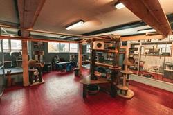 Kattenpension A Cat's Dream, Landsmeer openingstijden