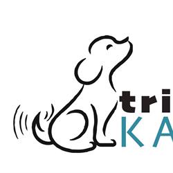 Trimsalon Kamerik, openingstijden