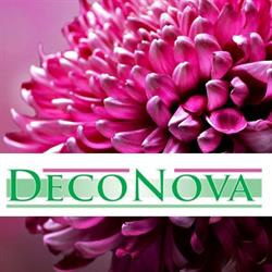 DecoNova Young Plants B.V., Roelofarendsveen openingstijden