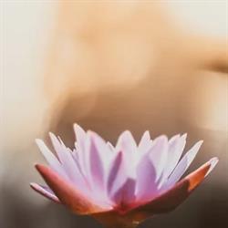 Siriwan thai massage Terneuzen, openingstijden