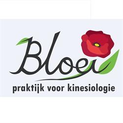 Bloei! Praktijk voor kinesiologie, Oud-Beijerland openingstijden