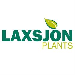 Laxsjon Plants, Otterlo openingstijden